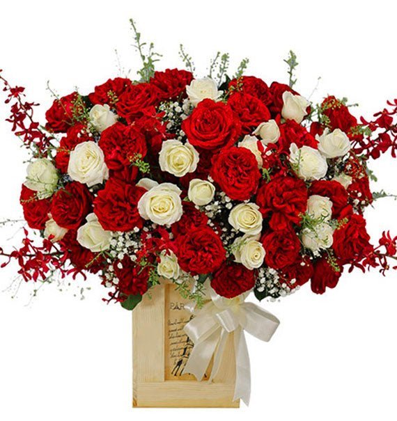 Thiền Tâm Khai Lộc