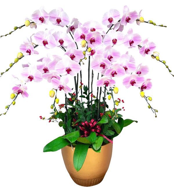 Thịnh Cửu Phát Tài