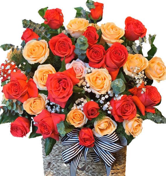 Thịnh Vượng Khai Mở- Hoa Sài Gòn