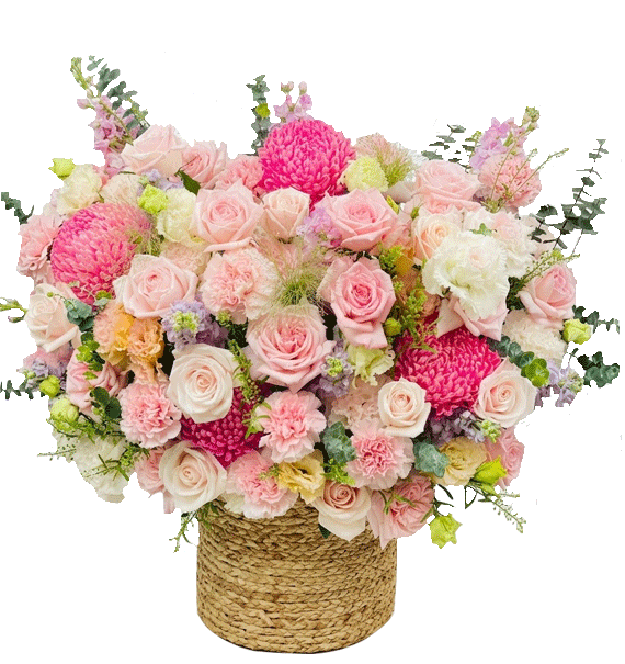 Thịnh Vượng Khai Mở