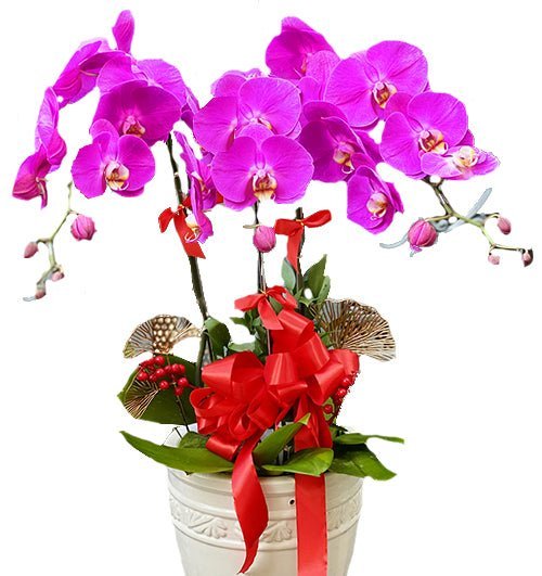 Thịnh Vượng Trường Tồn