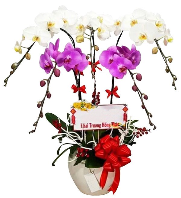 Thương Gửi Năm Hoa