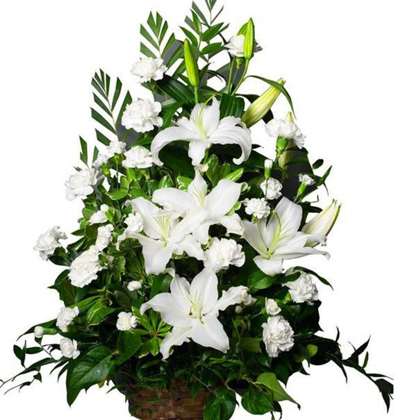 Thương Tiếc Một Tuổi Xuân Dang Dở - Hoa Sài Gòn