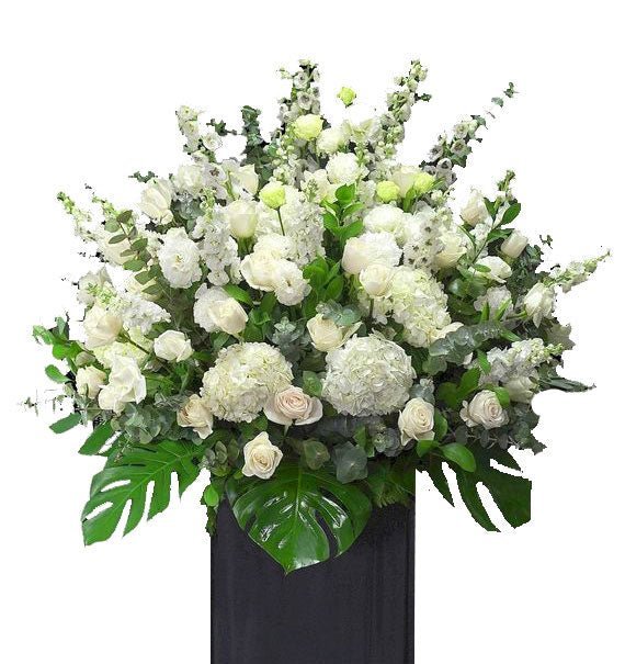 Thương Tiếc Người Trẻ Tài Hoa - Hoa Sài Gòn