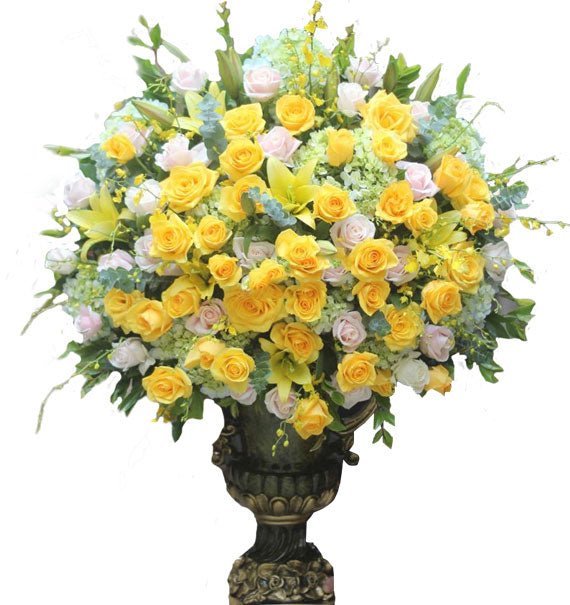 Tiệm Hoa Tươi Quận Tân Phú - Hoa Sài Gòn