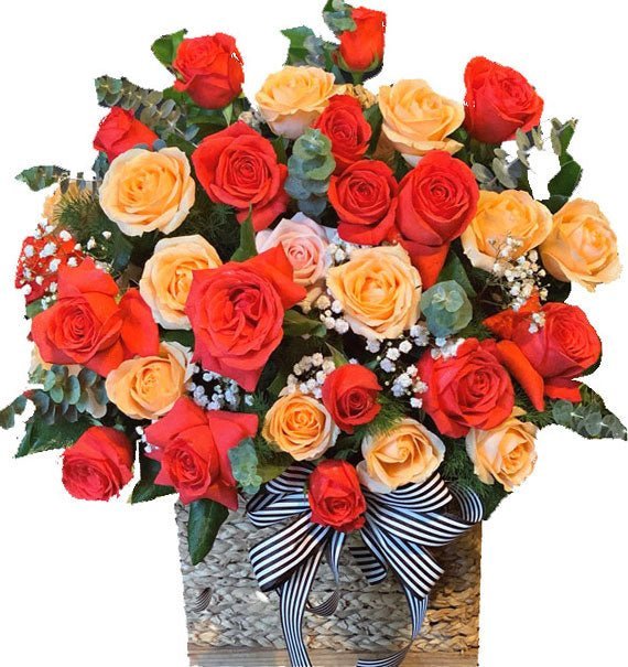 Tiền Sắc Rạng Ngời