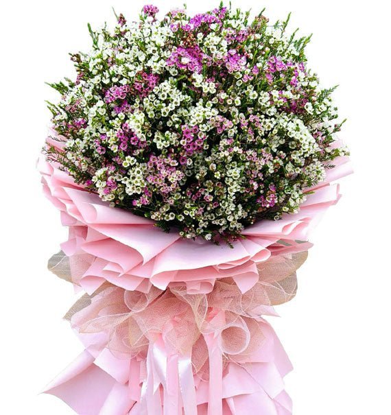 Tím Của Riêng Anh