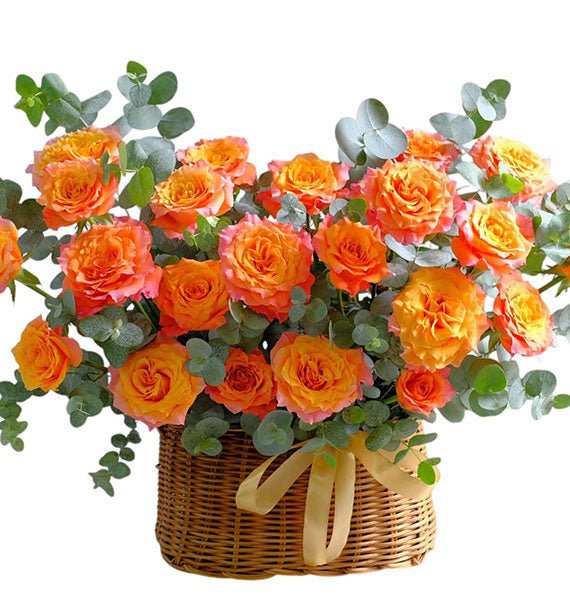 Tình Bạn Nở Hoa