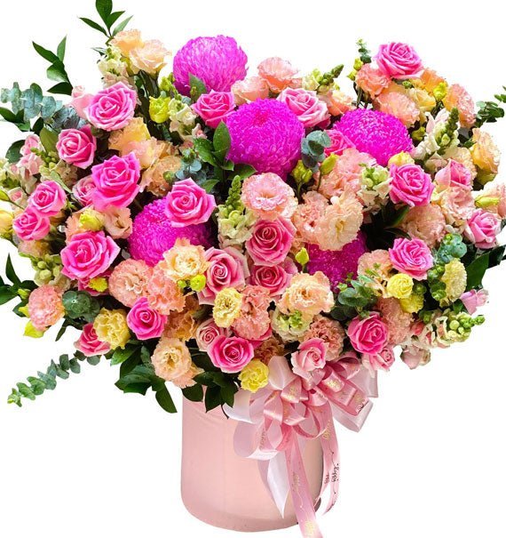 Tình Ca Lụa Vàng