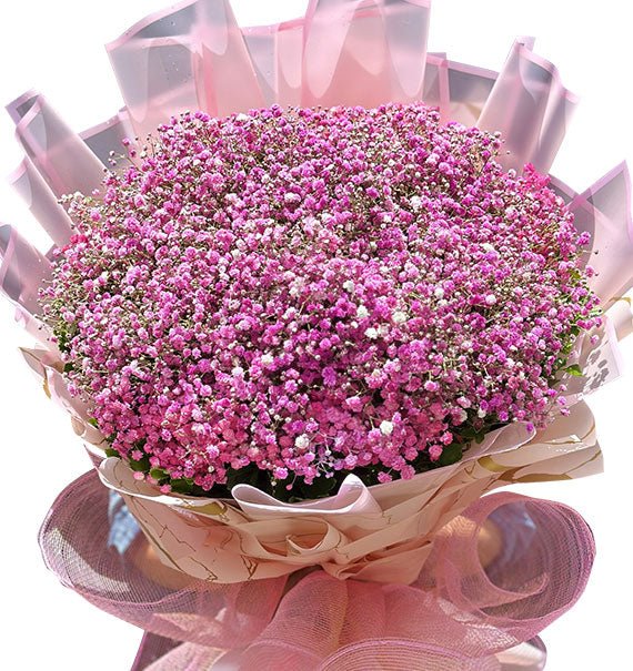 Tình Đầu Thơ Ngây - Hoa Sài Gòn