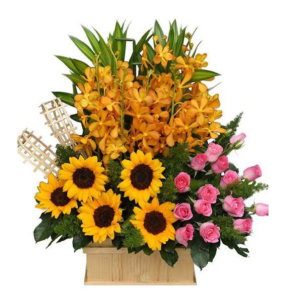 Tình Dịu Như Sương