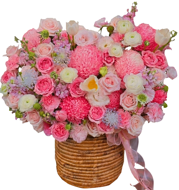 Tình Dịu Như Sương