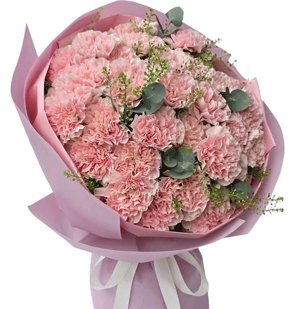 Tình Hoa Dịu Dàng