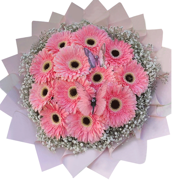 Tình Hồng Vấn Vương