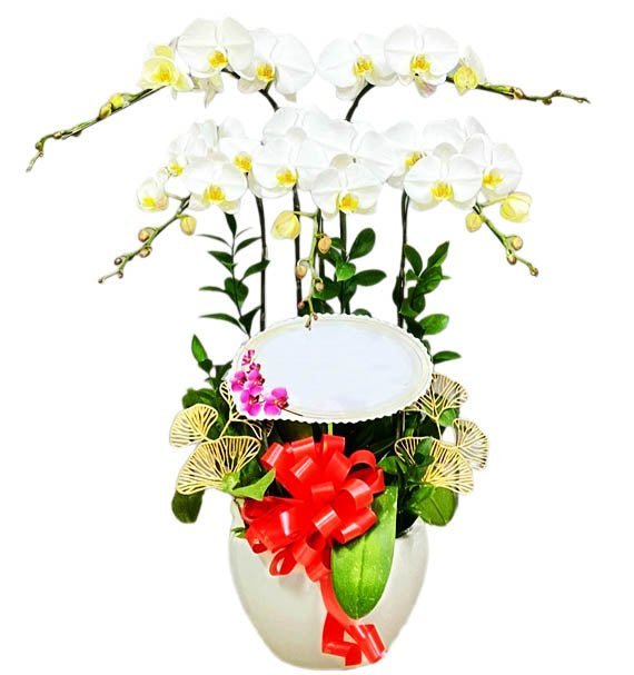 Tinh Khôi Khai Lộc