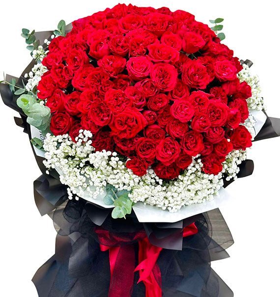 Tinh Khôi Qúy Phái