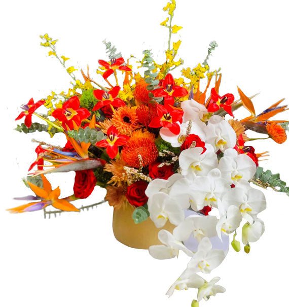 Tinh Khôi Yêu Dấu