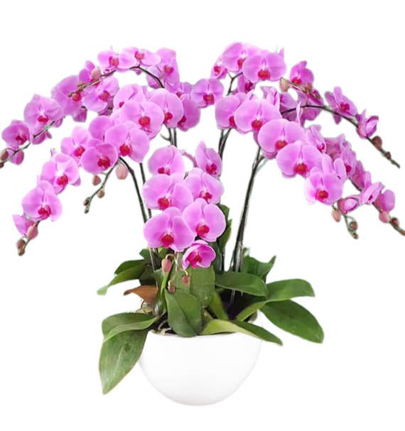 Tĩnh Lặng Sâu Sắc