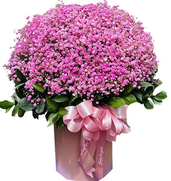 Tĩnh Tâm - Phát Lộc - Hoa Sài Gòn