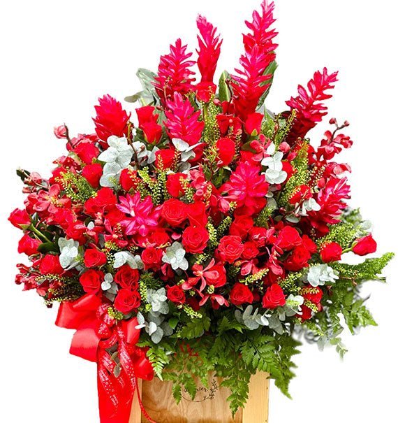 Tình Yêu Đế Vương