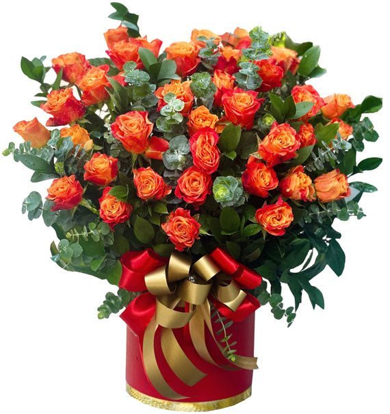 Tình Yêu Gọi Nắng