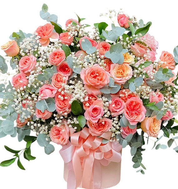 Tỏa Hương Nhẹ Nhàng