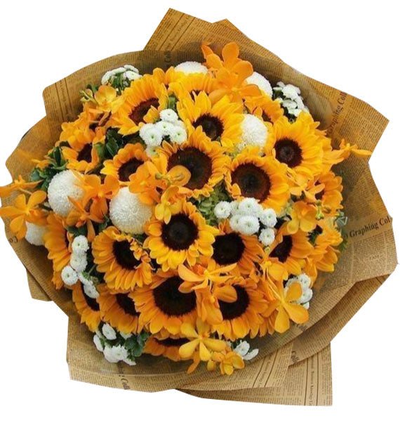 Tỏa Nắng Ngày Mới 