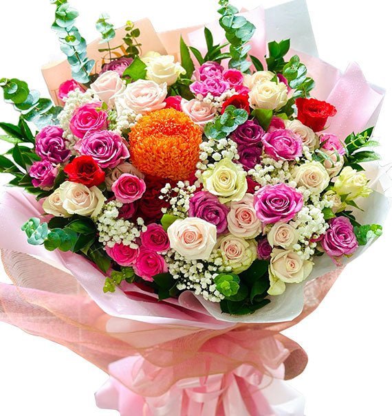 Tỏa Nắng Thành Công