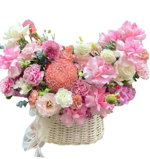 Tỏa Sáng Không Gian - Hoa Sài Gòn