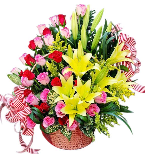 toa sang ngay sinh nhat