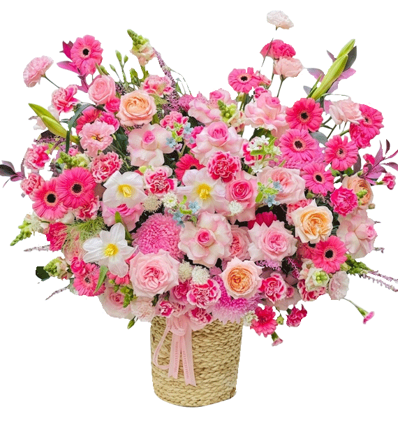 Tỏa Sáng Ngày Sinh Nhật