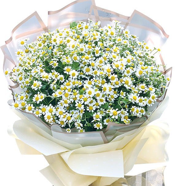 Tỏa Sáng Như Chính Bạn