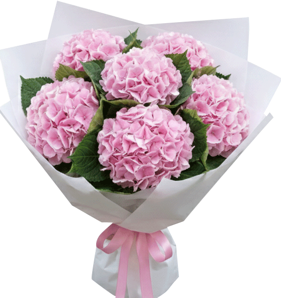 Trọn Đời Dịu Dàng