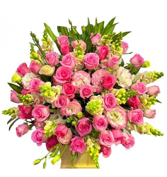 Trong Sáng - Hoa Sài Gòn