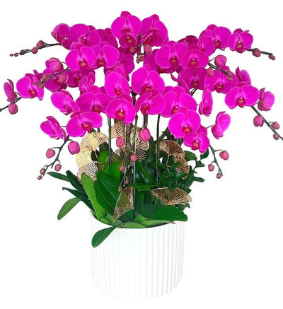 Trường Sắc Vương Lan