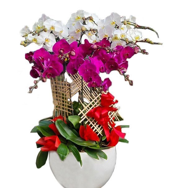 Trường Vượng Tím Hoa - Hoa Sài Gòn