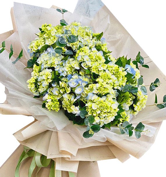 Tú Cầu Bình Yên