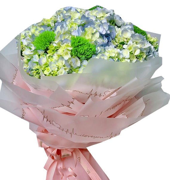 Tú Cầu Trong Nắng