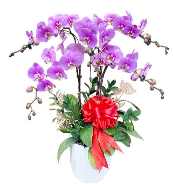 Tử Sắc Vượng Tài