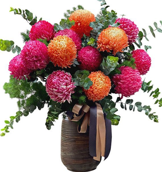 Tuổi Mới Bình An – Hưng Thịnh