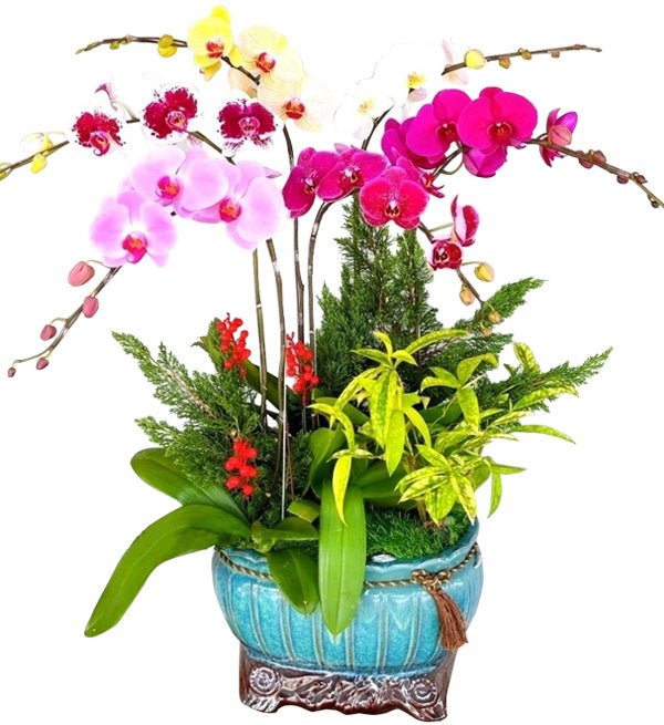 Tuổi Mới Đón Lộc