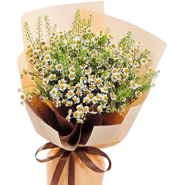 Tuổi Trẻ Vĩnh Hằng