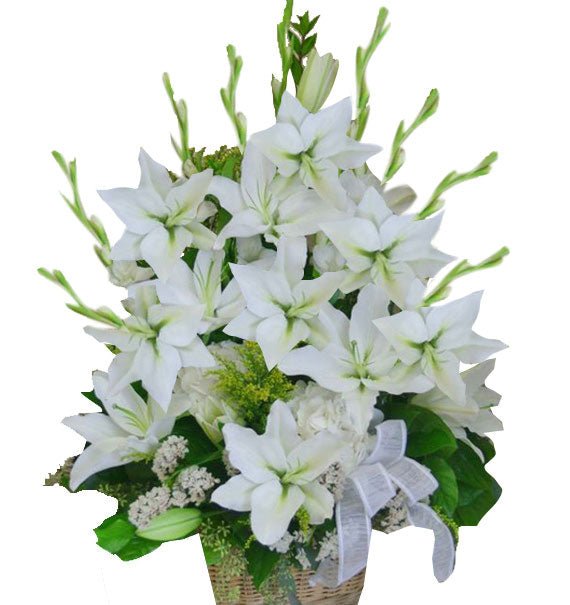 Vẫn Mãi Trong Tim Chúng Tôi - Hoa Sài Gòn