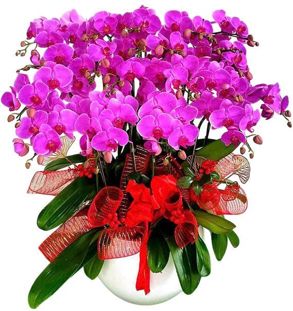 Vạn Phúc Trường Hưng