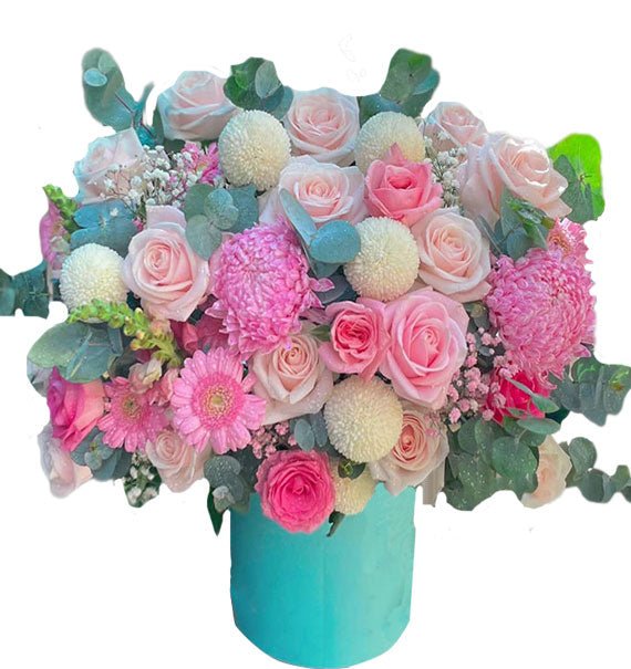 Vạn Sự Hanh Thông - Hoa Sài Gòn