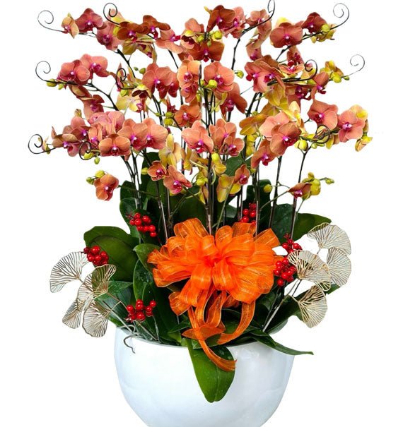 Vầng Dương Khai Sáng