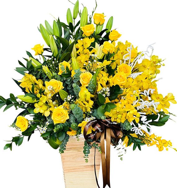 vang son thinh vuong