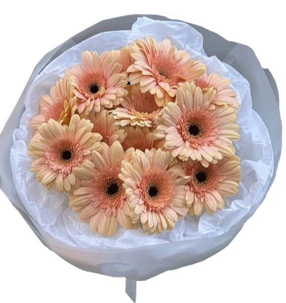 Vàng Son Tình Nhẹ