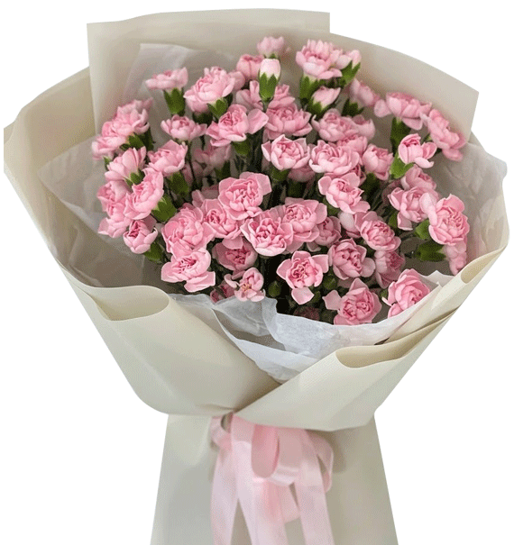 Vẻ Đẹp Dịu Dàng