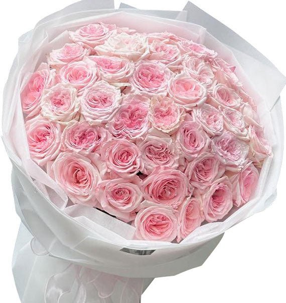 Vẻ Đẹp Tinh Tế Hoa 20/10